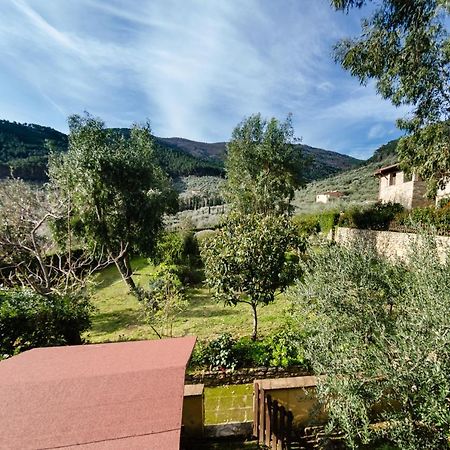 Podere Di Mero Casolare Buti Ngoại thất bức ảnh